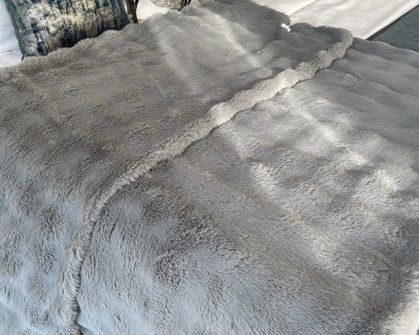 Multi-Functional Heated Blanket