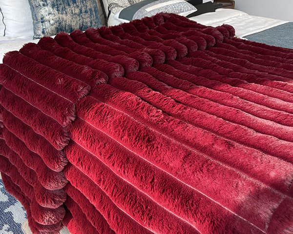 Multi-Functional Heated Blanket