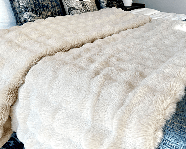 Multi-Functional Heated Blanket
