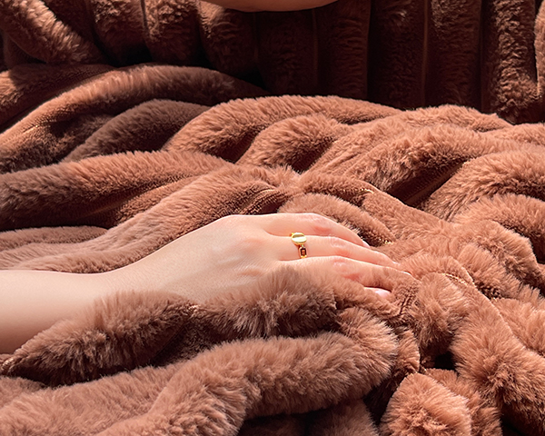 Multi-Functional Heated Blanket